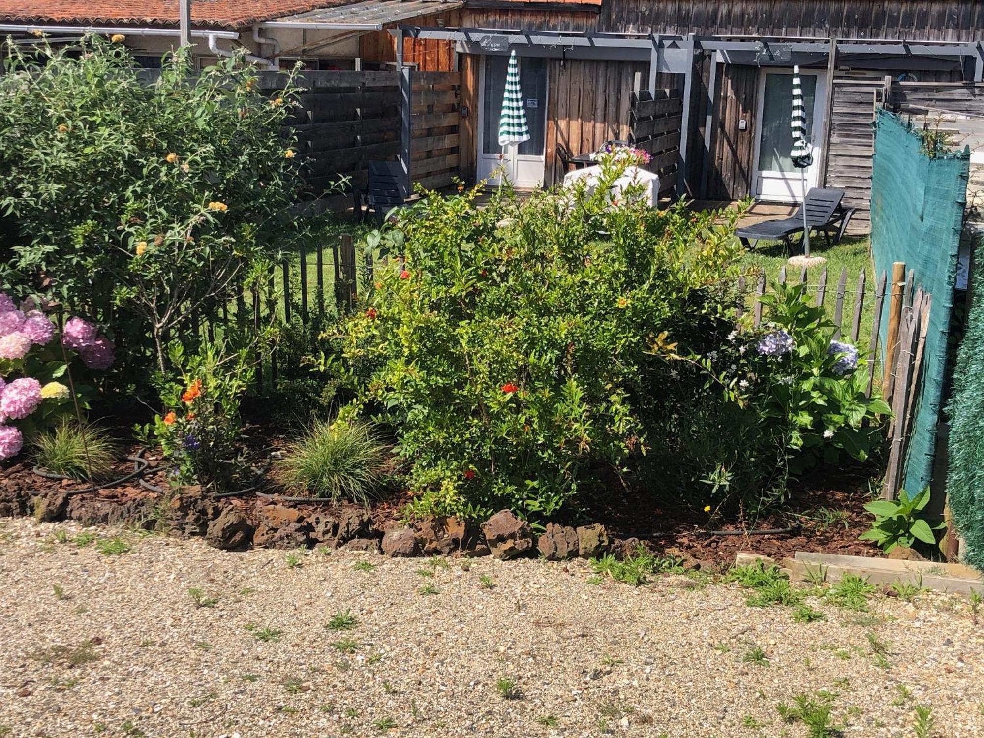 Les Logis D'Argent Studio Independant Parking Entree Autonome Linge De Lit Et Serviettes Wifi Fibre Tv Connectee Mimizan Luaran gambar